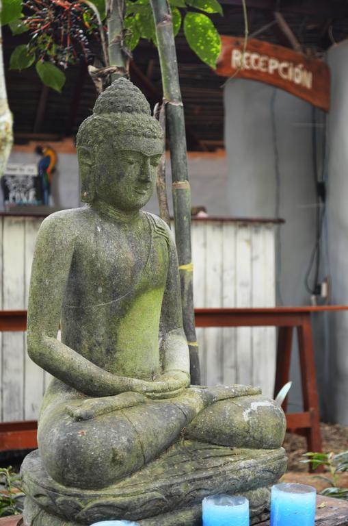 Kapievi Ecovillage ปูแอร์โต มัลโดนาโด ภายนอก รูปภาพ